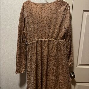 Sparkling Long Sleeve Dress